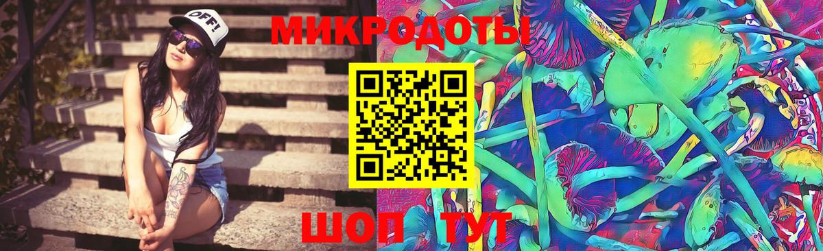 Псилоцибиновые грибы Psilocybe  Вход с VPN  Асбест 